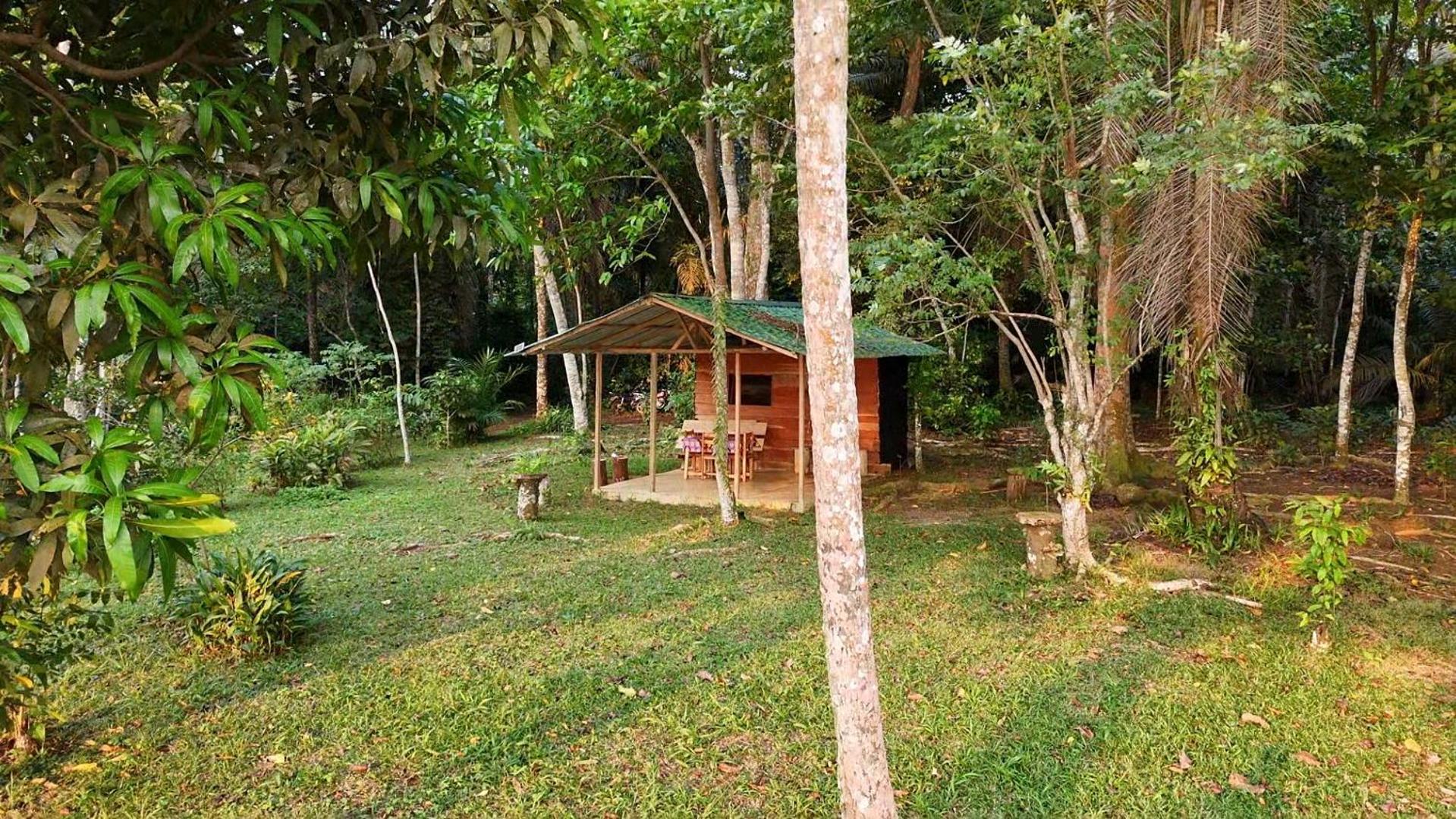 World'S View Wild Camping Salaszoi, Principe Island Santo Antonio Exterior photo